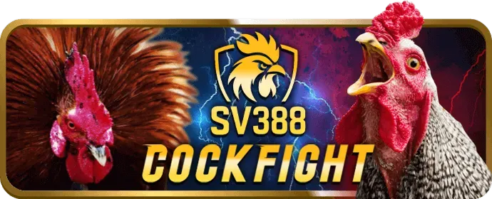 Ưu đãi và khuyến mãi hấp dẫn cho trò chơi Slot tại iwwin nhà cái